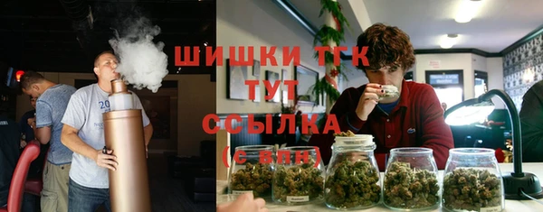 ешки Арсеньев